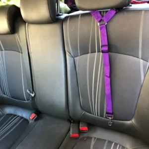 Pet Car Seat Belt & Adjustable Leash – Safety Harness for Pets thumbnail 2