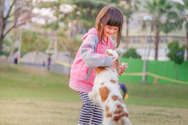 Child with dog
